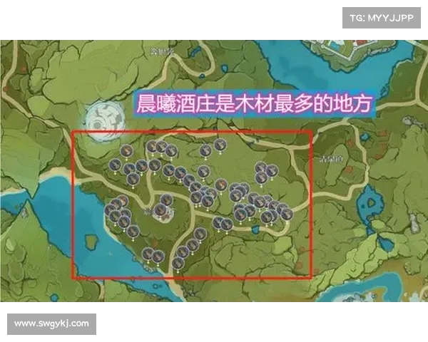 圣导师加点系统如何助力玩家快速提升成长与战力提升策略 圣导师加点系统如何助力玩家快速提升成长与战力提升策略
