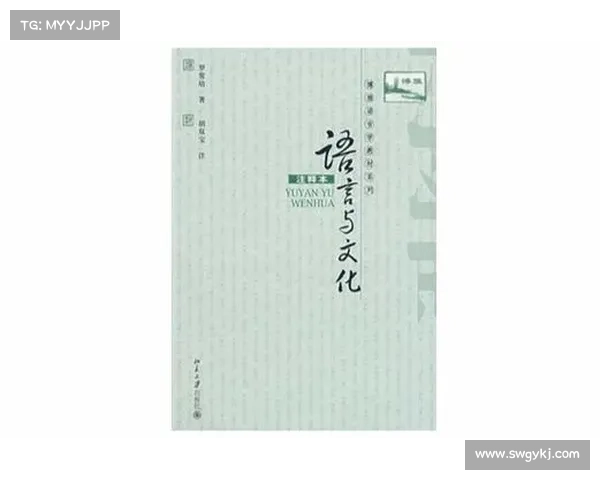 巴舒亚伊语言与文化的深度探秘与独特魅力解析