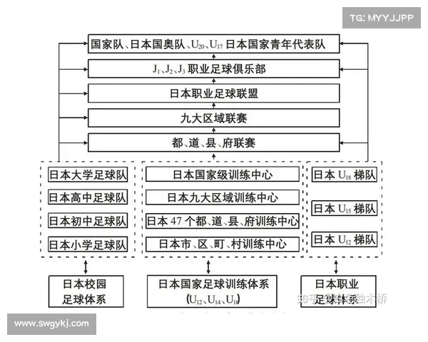 成功足球青训体系构建的关键要素及其实践路径分析