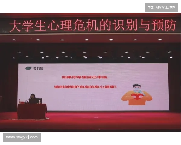 推动高水平对外开放的实践路径与策略解析与应用指南